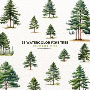 Pine Tree Watercolor Clipart, 15 Beautiful trees PNG, Landscape art, Forest clipart, Tree Clipart, Instant Download, Digital, Woodland Tree,