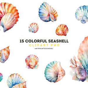 Aquarelle Coloré Seashell Clipart, Beach clipart, Nautical Clipart, Ocean clipart, Sea clipart, Scrapbook, Seashell png, Fabrication de cartes