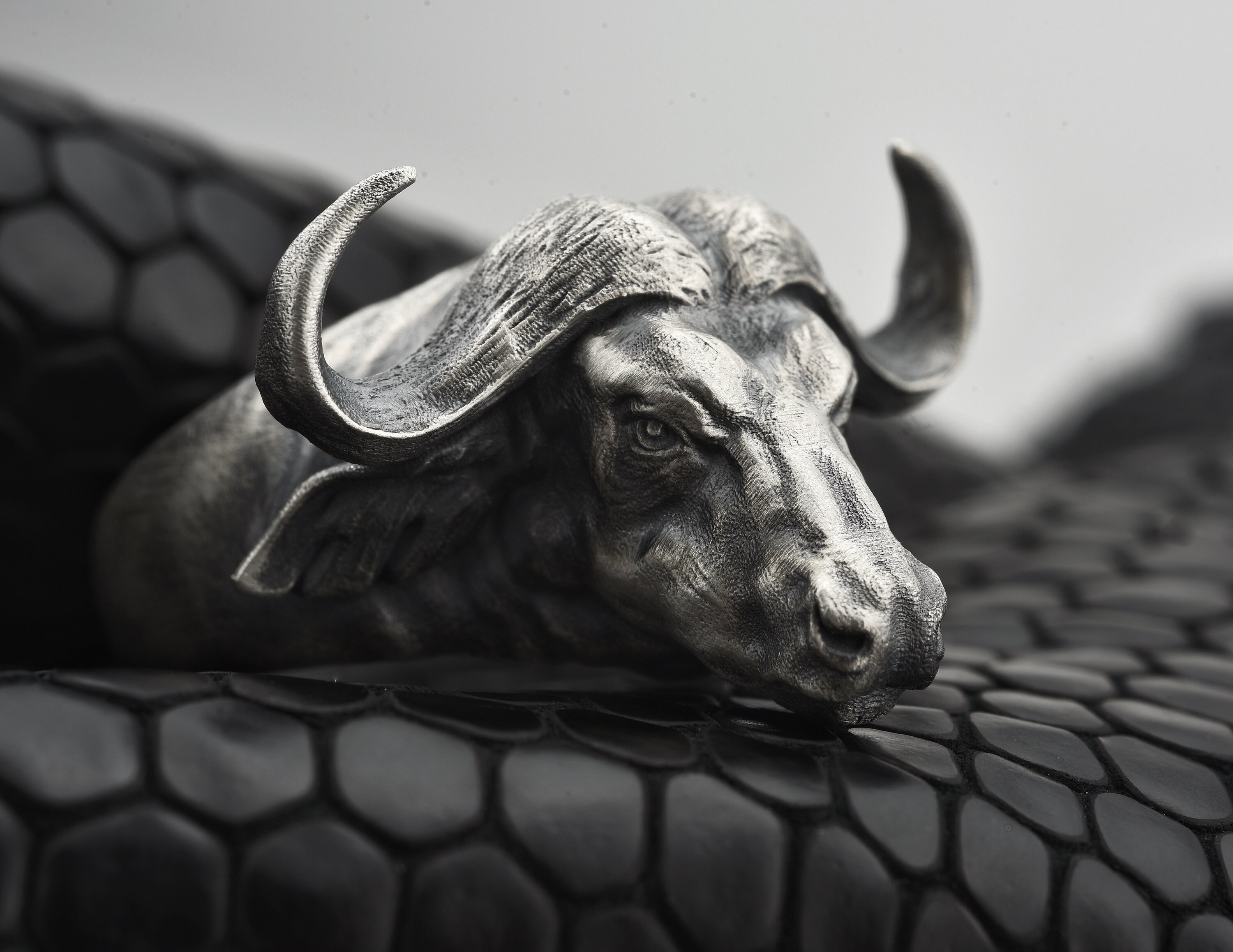 Silver Buffalo Ring Mens Buffalo Ring Oxidized Silver Men Etsy