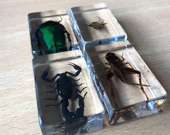 Acrylic Block | Etsy