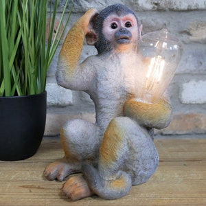 Monkey holding light deals