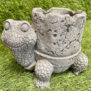 May include: A grey concrete turtle planter with a textured finish. The turtle features a detailed head, shell, and legs. The planter is designed for small plants or flowers, adding a whimsical touch to any garden or indoor space.