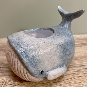 May include: A light blue and white ceramic whale planter with a textured surface. The whale has a small black eye and a slightly open mouth. The planter is ideal for small plants or succulents.