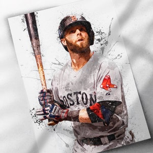 Dustin Pedroia 