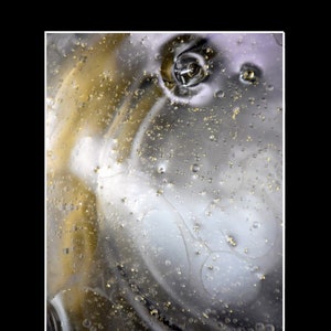Author&#39;s Photo - Down The Earth &#39;21 Black Passe-Partout 18x24cm