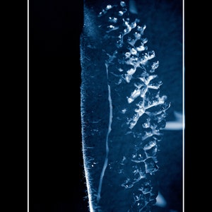 Author's Photo Halcyon Days '20 Men Nude Black - Etsy