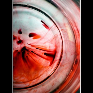 Author&#39;s Photo - Down The Earth &#39;21 Black Passe-Partout 18x24cm