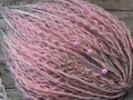 Ombre blond pink Curly dreads Synthetic crochet dreads extensions pink Boho DE Dreads Curly double ended dreadlocks blond de braids product logo
