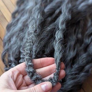 May include: A close-up of a hand holding a strand of dark gray and white yarn. The yarn is soft and fluffy, and it appears to be made of wool.