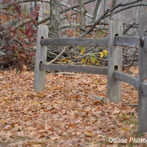 May include: A wooden fence with three horizontal rails, set against a backdrop of fallen autumn leaves. The fence is made of weathered wood and has a rustic appearance.