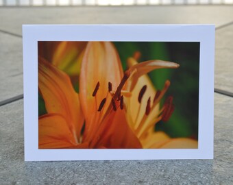 Orange Lily Blank Greeting Card