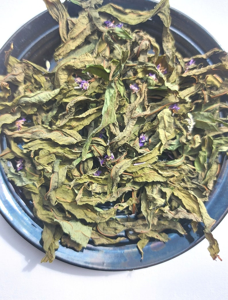 Fireweed Dried Leaves Flowers Ivan Chai 2023 Harvest Herb Epilobium Angustifolium Natural Herbal Wild Plant Tea Lithuanian product image 3