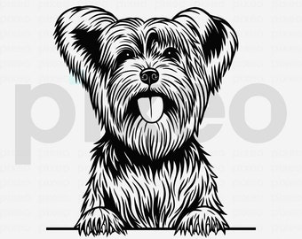 Yorkshire Terrier SVG: Yorkie Dog Clipart, Cricut Cut File