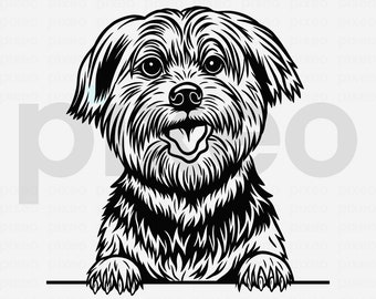 Yorkshire Terrier SVG: Yorkie Dog Clipart, Cricut Cut File (Digital Download)