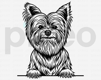 Yorkshire Terrier SVG: Yorkie Dog Clipart, Cricut Cut File