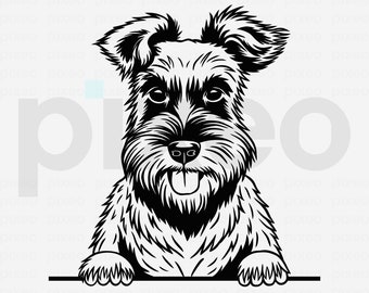Schnauzer SVG: Dog Breed Clipart, Cricut Cut File (Digital Download)