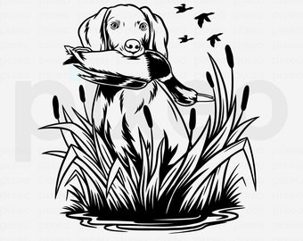May include: Black and white illustration of a dog retrieving a duck in a marsh. The dog is standing in the water with its head tilted down, holding the duck in its mouth. The dog is surrounded by tall grass and reeds.