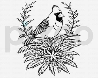 Cardinal with Flowers SVG: Bird Vector Cut File (Digital Download)