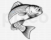 Striped Bass Fishing Svg, Fishing Svg, Striped Bass Fish Svg, Bass Clipart,  Bass Vector, Bass Cricut, Bass Cut file, Fish Svg, Bass Shirt