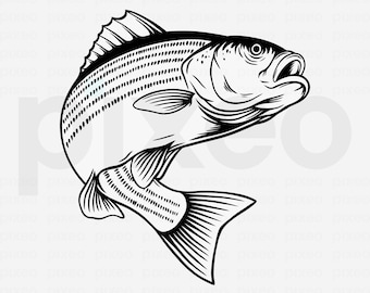 Striped Bass Fishing Svg, Fishing Svg, Striped Bass Fish Svg, Bass Clipart, Bass Vector, Bass Cricut, Bass Cut file, Fish Svg, Bass Shirt