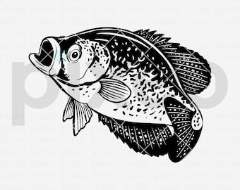 Crappie Fishing SVG: Vector Cut File