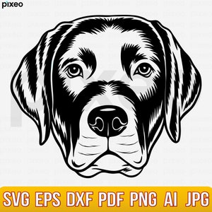 Labrador Svg, Labrador Retriever Svg, Labrador Clipart, Labrador Vector, Labrador Cricut, Labrador Cut File, Black Labrador Peeking Dog Svg