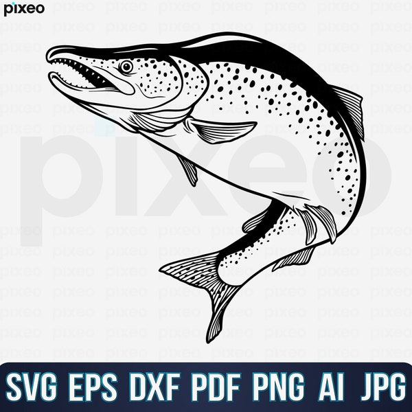 Zalm vissen Svg, Zalm Vis Svg, Zalm Svg, Zalm Vis Clipart, Zalm Vis Cricut, Vissen Svg, Zalm Vis Vector, Zalm Svg Png