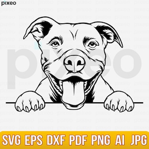 Pitbull Svg, American Pit Bull Svg, Pitbull Clipart, Pitbull Vector, Pitbull Cricut, Dog Paw Svg, Pitbull Cut File, Dog Svg Pitbull Peeking