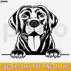Labrador Svg, Labrador Retriever Svg, Labrador Clipart, Labrador Vector, Labrador Cricut, Labrador Cut File, Black Labrador Peeking Dog Svg
