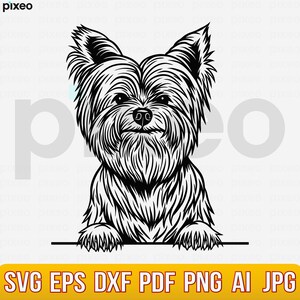 Yorkshire Terrier SVG: Yorkie Dog Clipart, Cricut Cut File