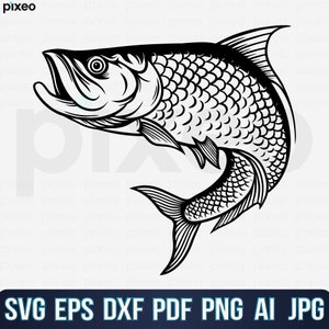 ターポン釣りの名前 SVG、釣り SVG、ターポン魚 SVG、ターポン クリップアート、ターポン ベクター、ターポン クリカット、ターポン カット ファイル、ターポン シャツ SVG PNG