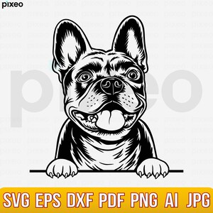French Bulldog SVG: Frenchie Clipart, Cricut Cut File (Digital Download)
