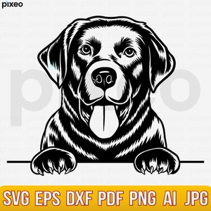Black Labrador Peeking Dog SVG: Retriever Clipart (Digital Download)