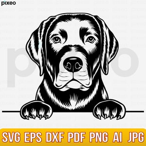 Labrador Svg, Labrador Retriever Svg, Labrador Clipart, Labrador Vector, Labrador Cricut, Labrador Cut File, Black Labrador Peeking Dog Svg
