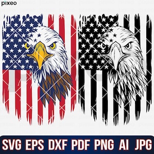 Eagle With American Flag Svg, American Flag Svg, Eagle Svg, Eagle Through Flag Svg, Eagle Shirt, USA Patriotic Svg, 4th of July Svg Png Eps