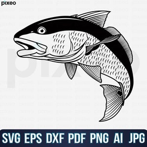 Red Drum Fishing Name Svg, Fishing Svg, Red Drum Fish Svg, Red Drum Clipart, Red Drum Vector, Red Drum Cricut,Red Drum Cut file Red Fish Svg