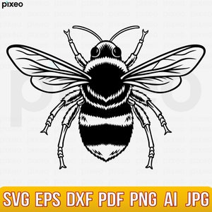 Bee Svg, Bee Flower Svg, Bee Hive Svg, Bee Clipart, Bee Cricut, Bee Cut file, Bee Shirt, Queen Bee Svg, Honey Bee Svg, Bee Cut File, Honey