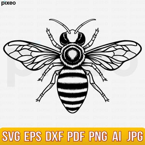 Bee Svg, Bee Flower Svg, Bee Hive Svg, Bee Clipart, Bee Cricut, Bee Cut file, Bee Shirt, Queen Bee Svg, Honey Bee Svg, Bee Cut File, Honey