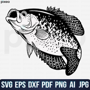Crappie Fishing Svg, Fishing Svg, Crappie Fish Svg, Crappie Clipart, Crappie Vector, Crappie Cricut, Crappie Cut file, Fish Svg, Fish Svg