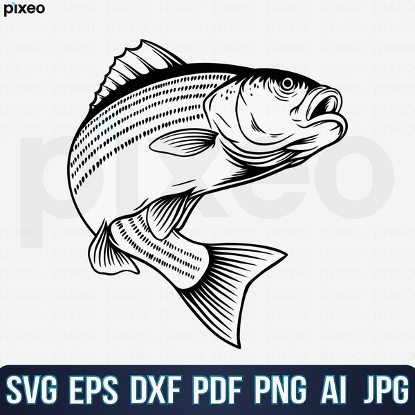 Striped Bass Fishing Svg, Fishing Svg, Striped Bass Fish Svg, Bass Clipart, Bass Vector, Bass Cricut, Bass Cut file, Fish Svg, Bass Shirt