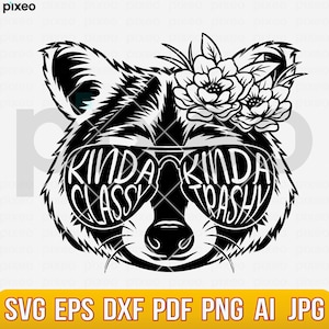 Kinda Classy Kinda Trashy Raccoon Svg, Floral Raccoon Svg, Raccoon Clipart, Raccoon Cricut, Raccoon Vector, Raccoon Cut file, Raccoon Shirt