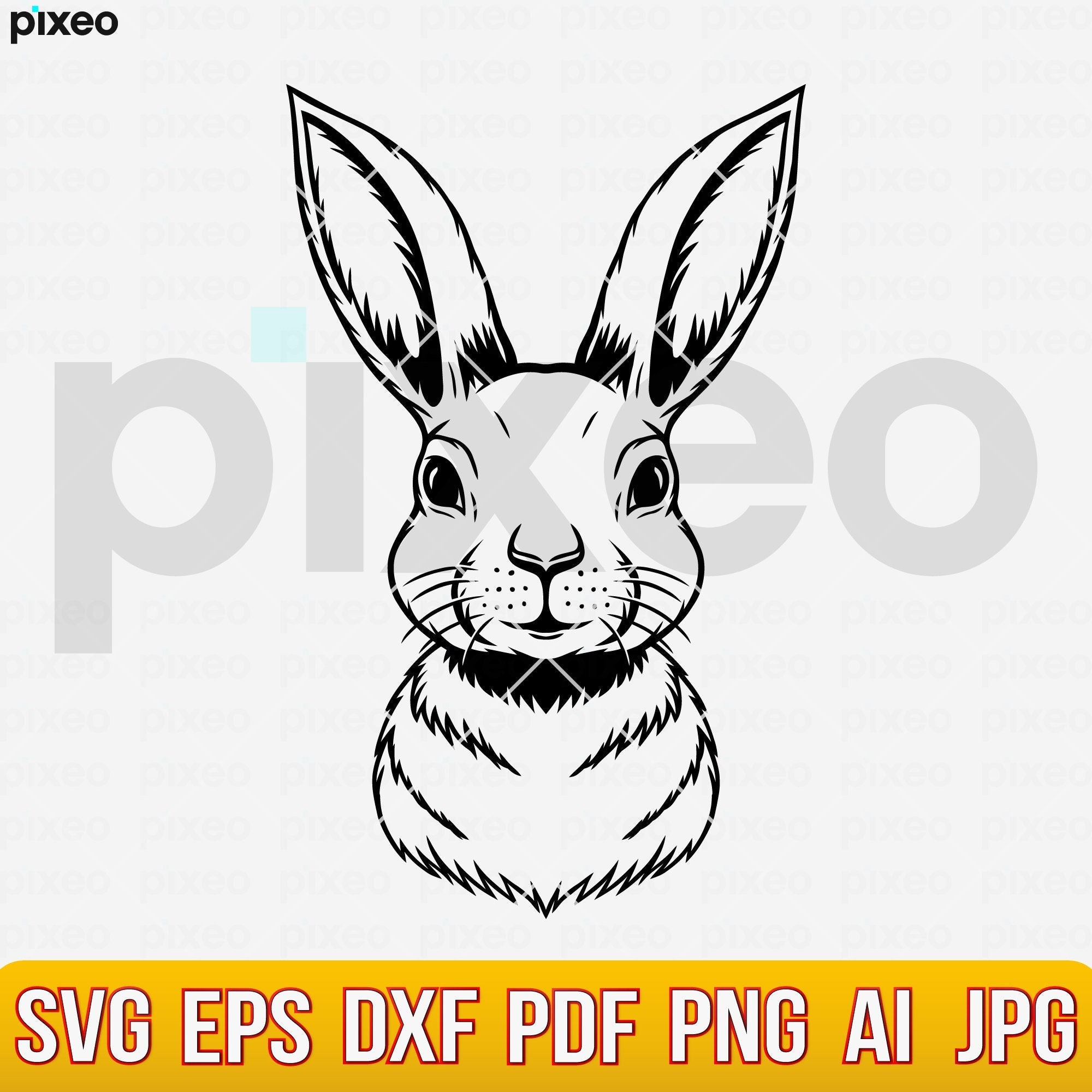 Svg Rex Rabbit Face Bunny Face SVG: Rabbit Clipart, Laser Cut File (digital Download) - Etsy