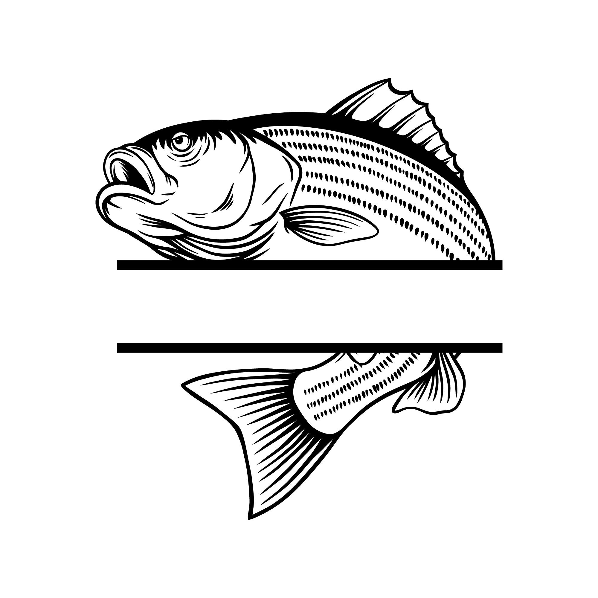 Striped Bass Name Fishing Svg, Fishing Svg, Striped Bass Fish Svg, Bass  Clipart, Bass Vector, Bass Cricut, Bass Cut File,fish Svg,bass Shirt -   Australia