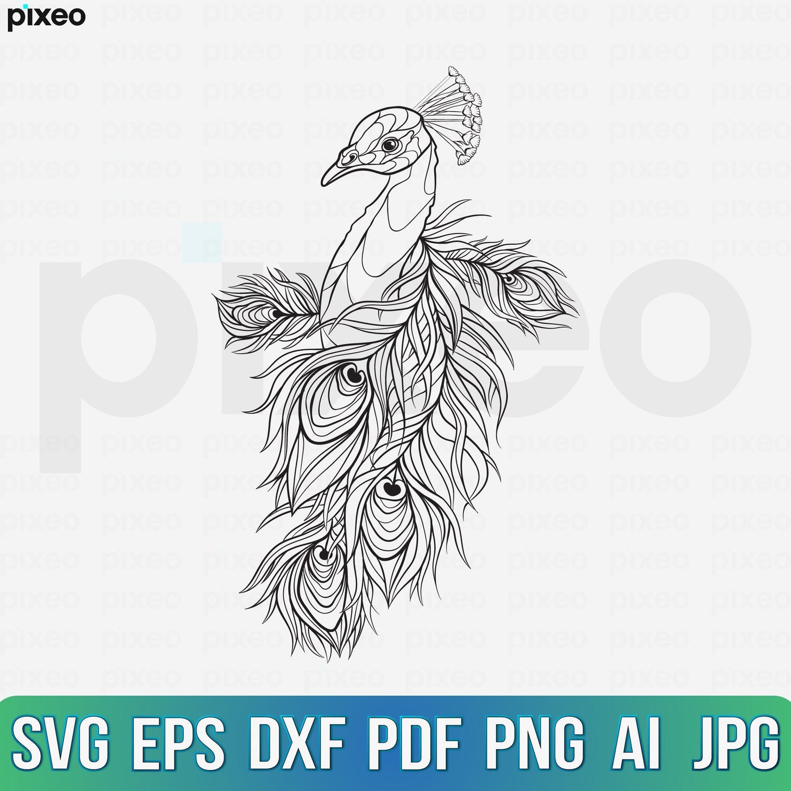 Peacock Rvt File Peacock Svg Peacock Clipart Peacock Cut File Peacock - Etsy