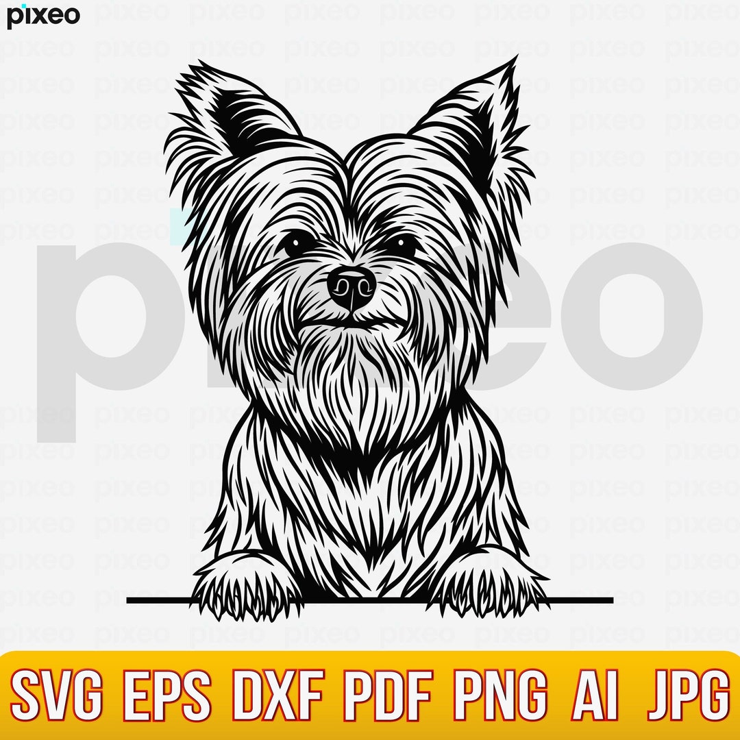 Yorkshire Terrier Svg, Yorkshire Clipart, Yorkshire Cricut, Yorkshire ...