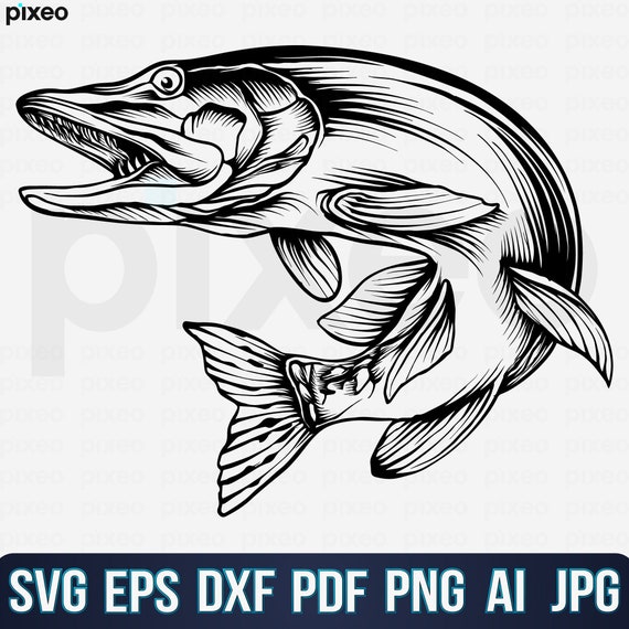 Northern Pike Fishing Svg, Fishing Svg, Pike Fish Svg, Pike Clipart, Pike  Vector, Pike Cricut, Pike Cut File, Fish Svg, Fish Hook Svg Png -   Canada