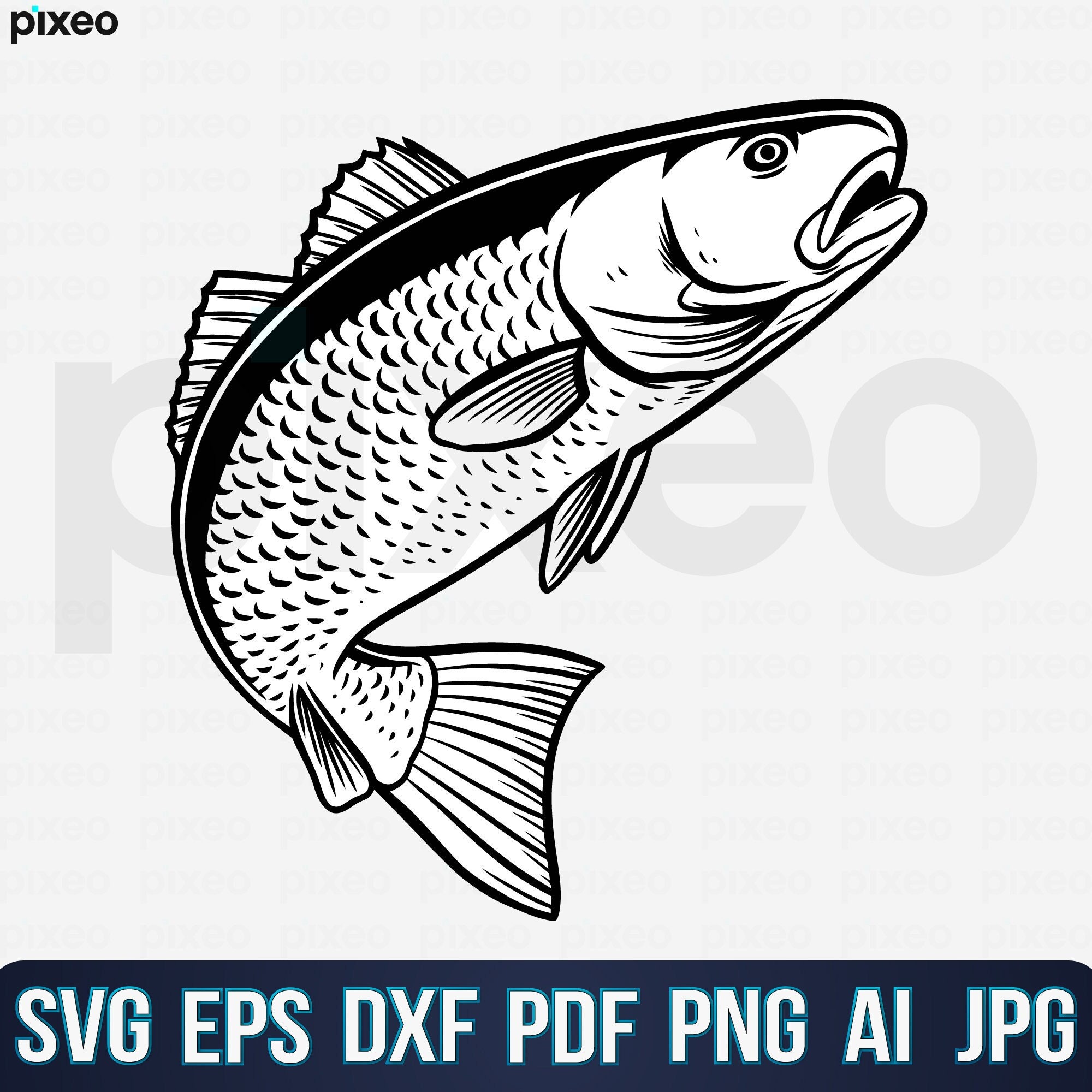 Red Drum Fishing Svg Fishing Svg Red Drum Fish Svg Red Drum Etsy Canada