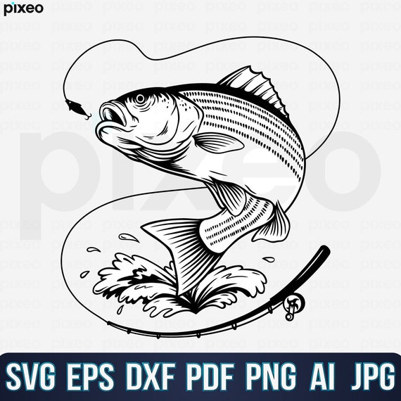 Striped Bass Fishing Svg, Fishing Svg, Striped Bass Fish Svg, Bass