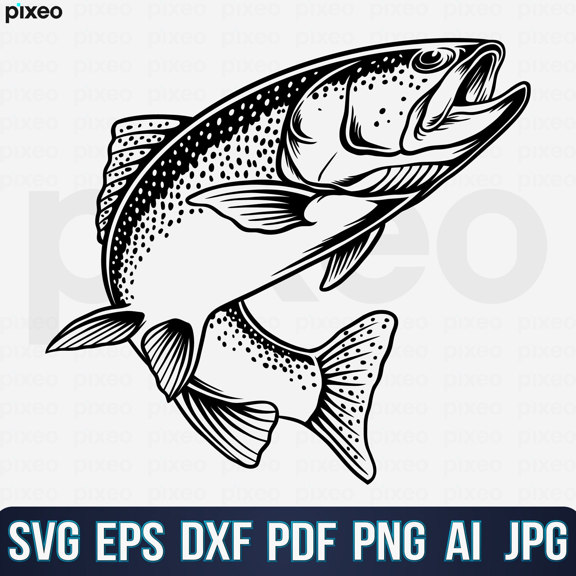 Trout fishing Free Stock Vectors