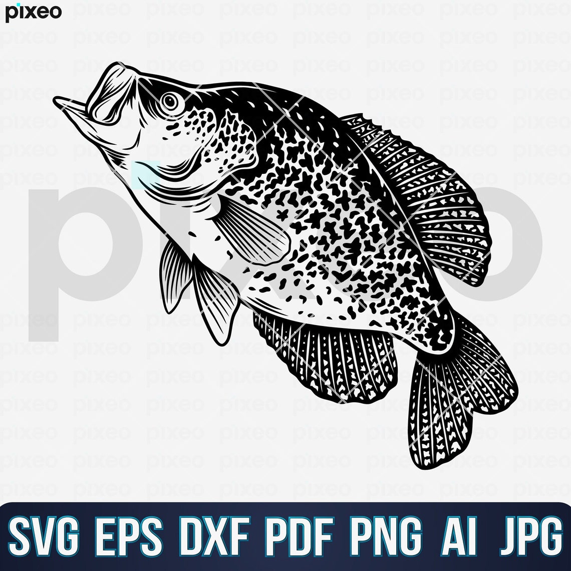 Crappie Fish Graphics Crappie Fishing SVG: Fish Clipart Vector Cut File (digital Download) - Etsy